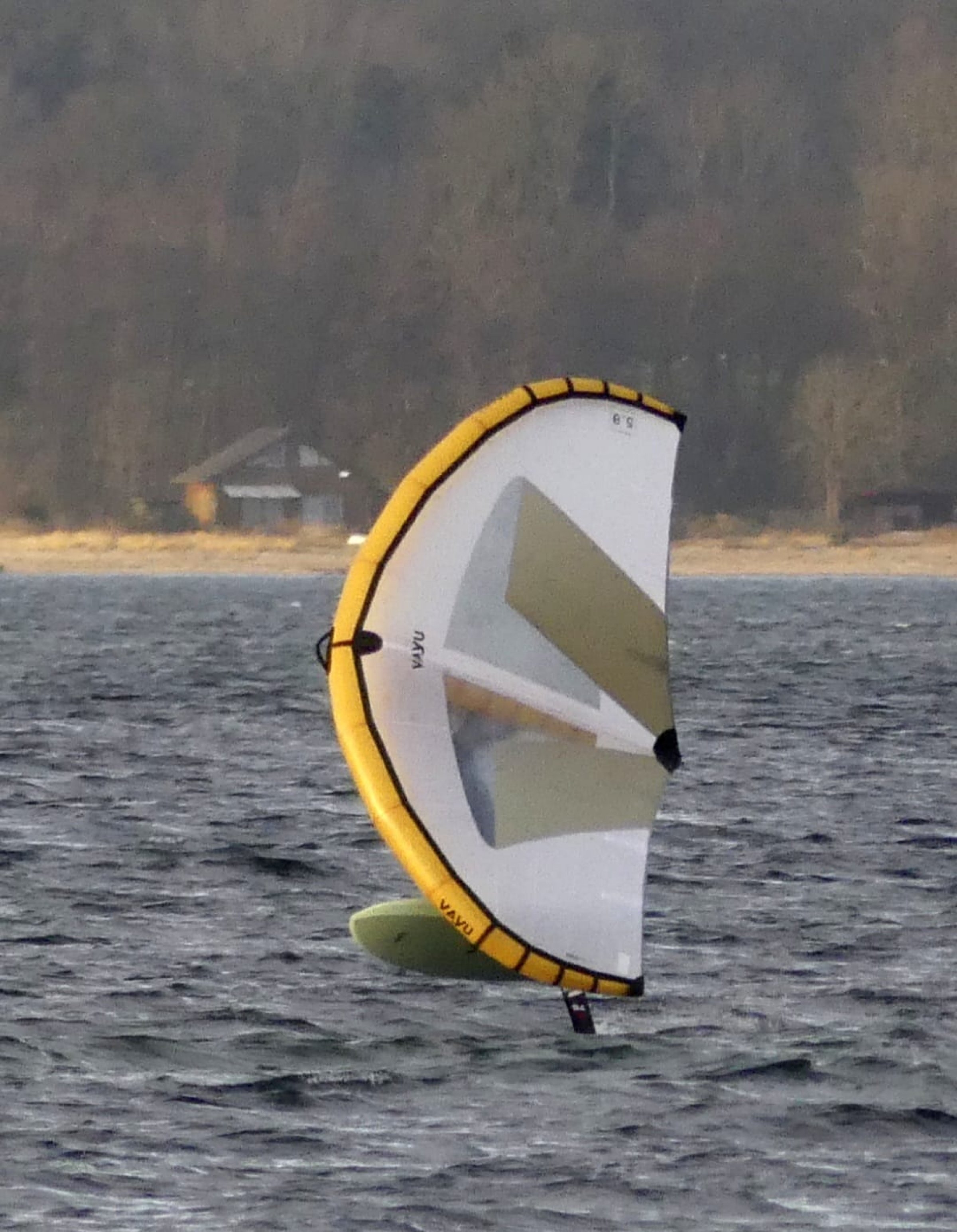 31.01.2025 - Lindhöft