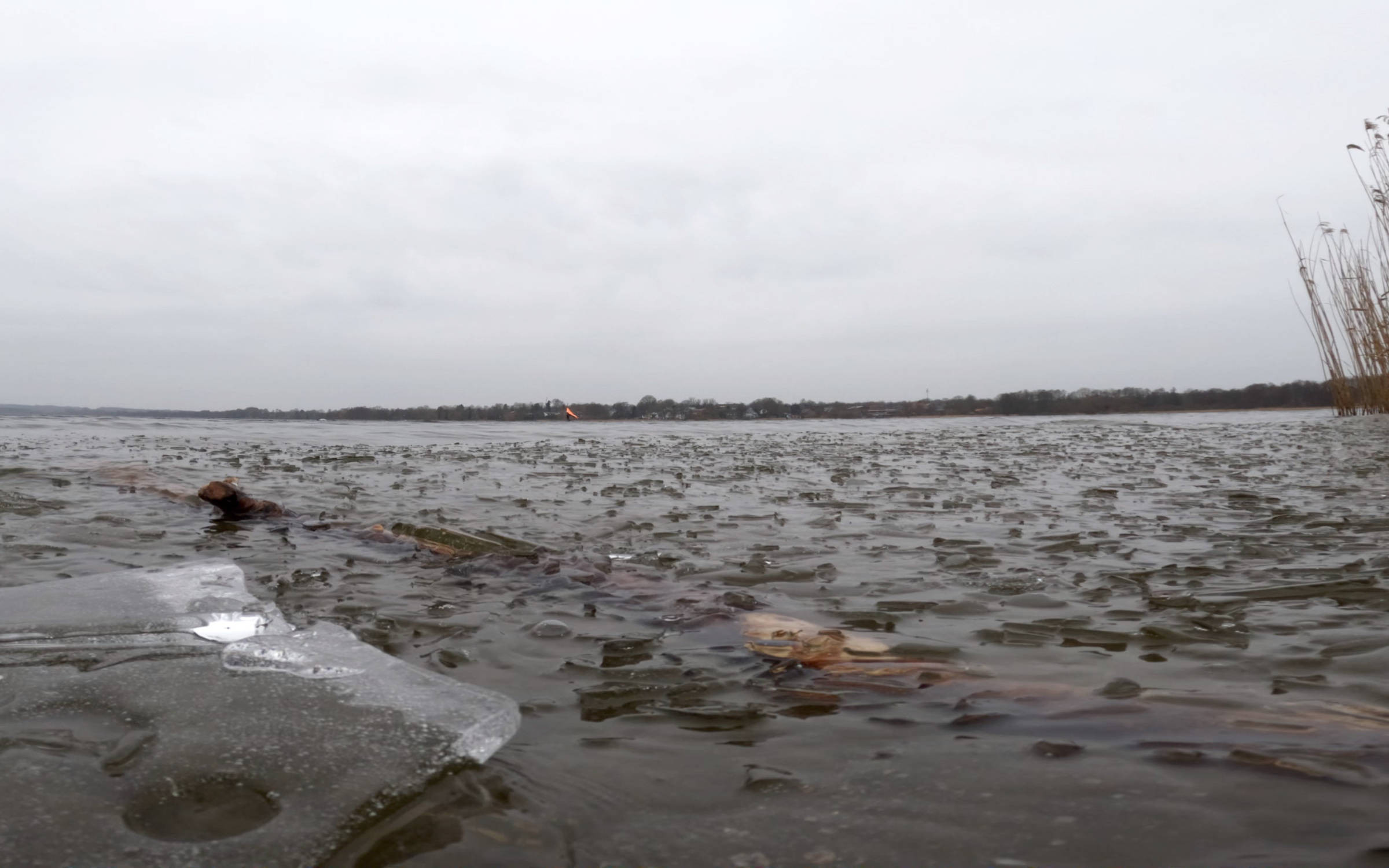 24.02.2025 - Wittensee