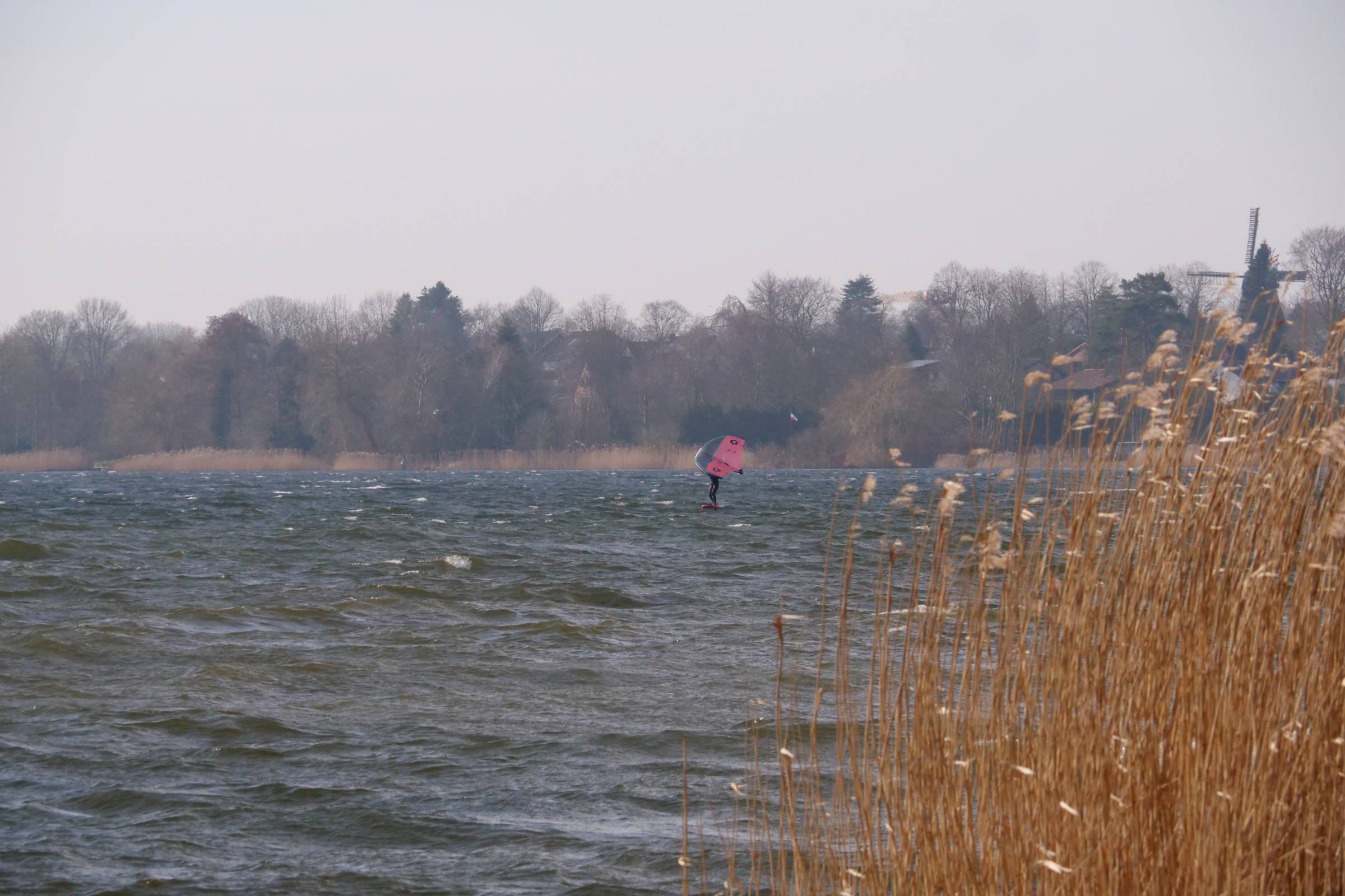 05.03.2025 - Wittensee