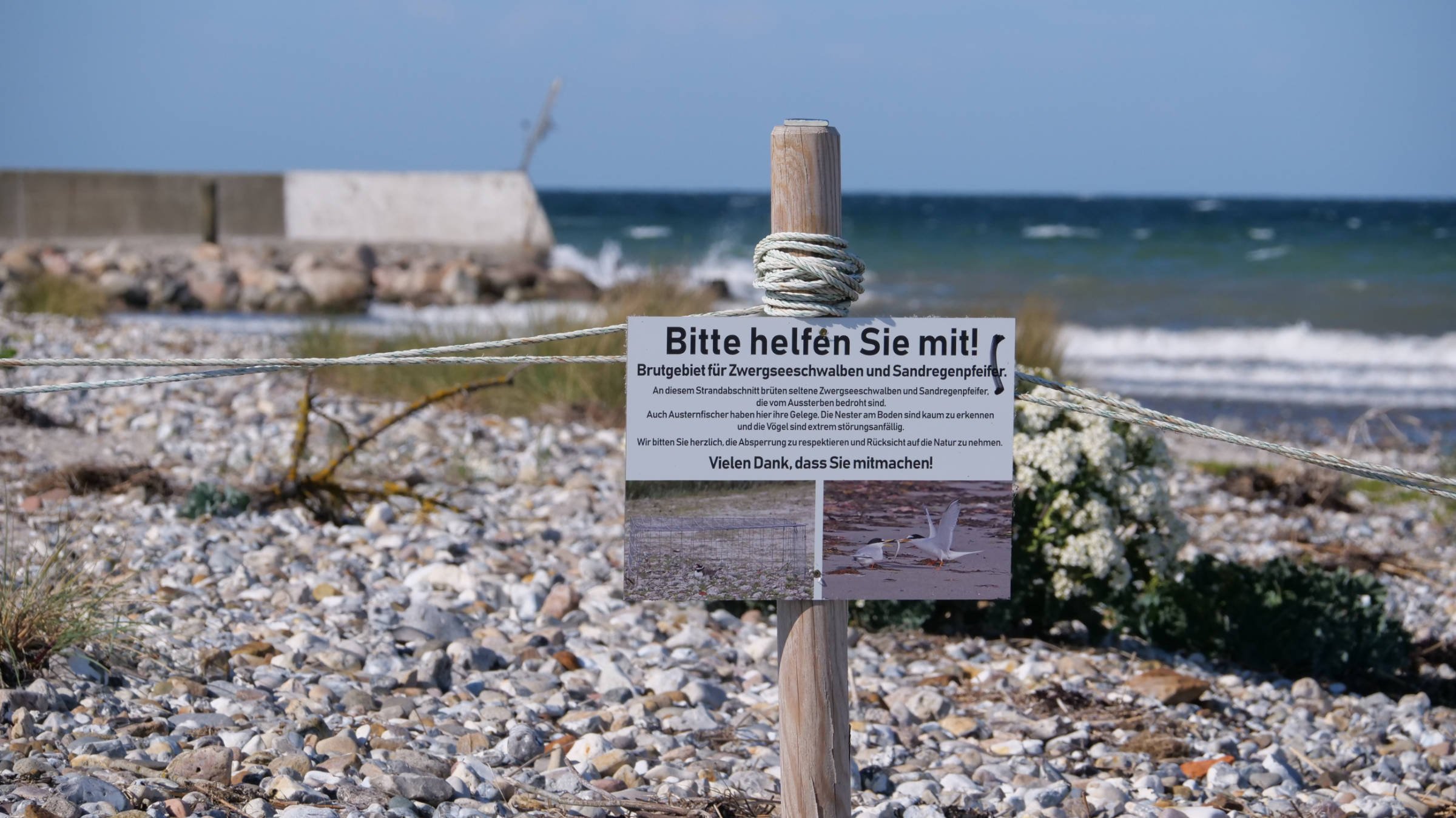 16.05.2025 - Hohwachter Bucht
