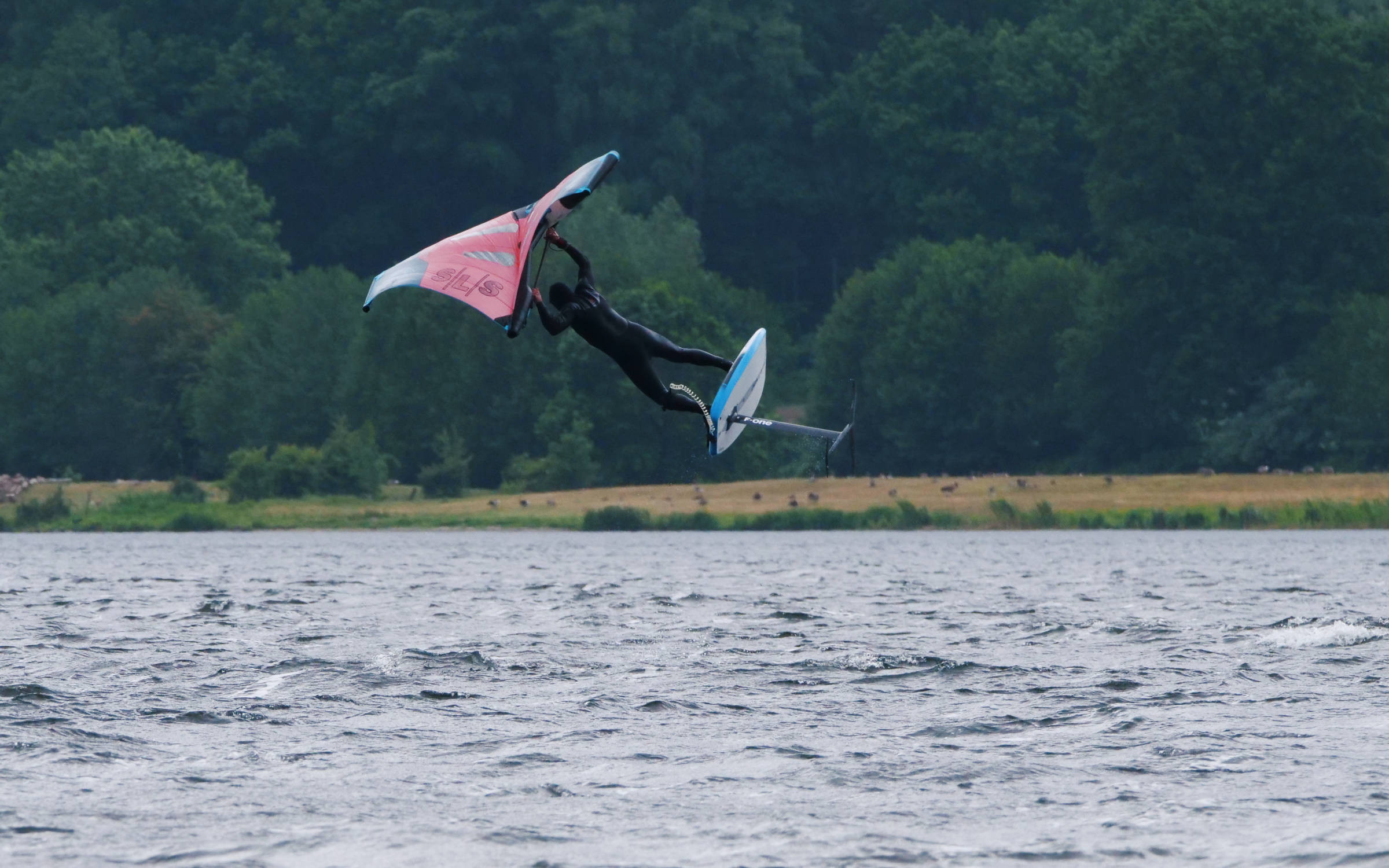 30.05.2025 - Westensee