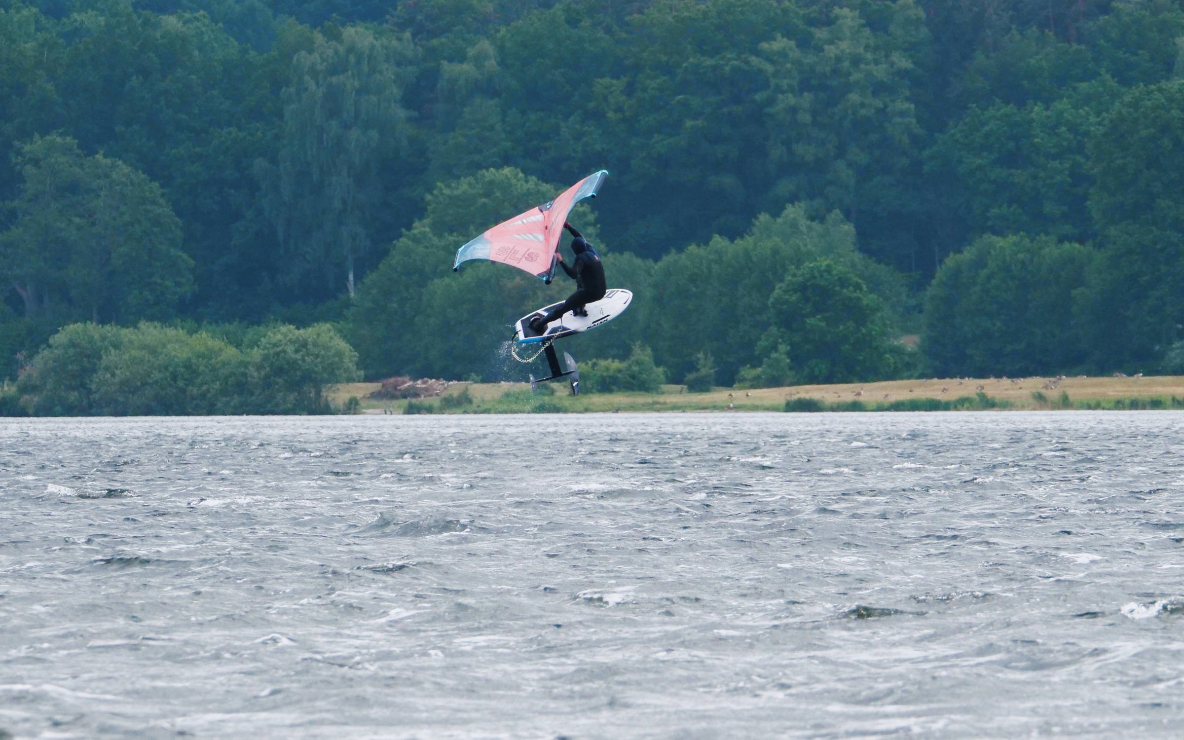 30.05.2025 - Westensee