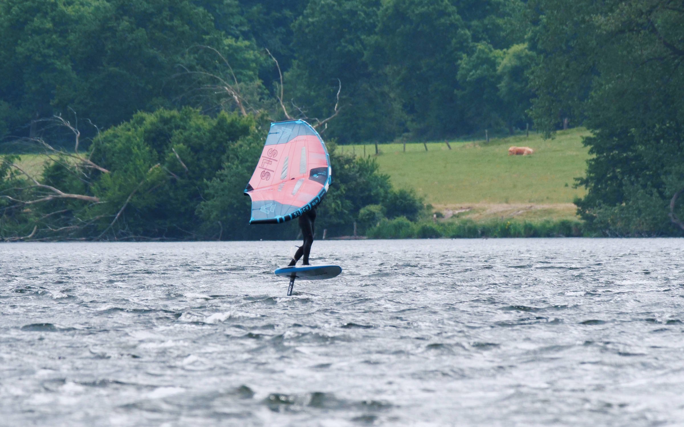 30.05.2025 - Westensee