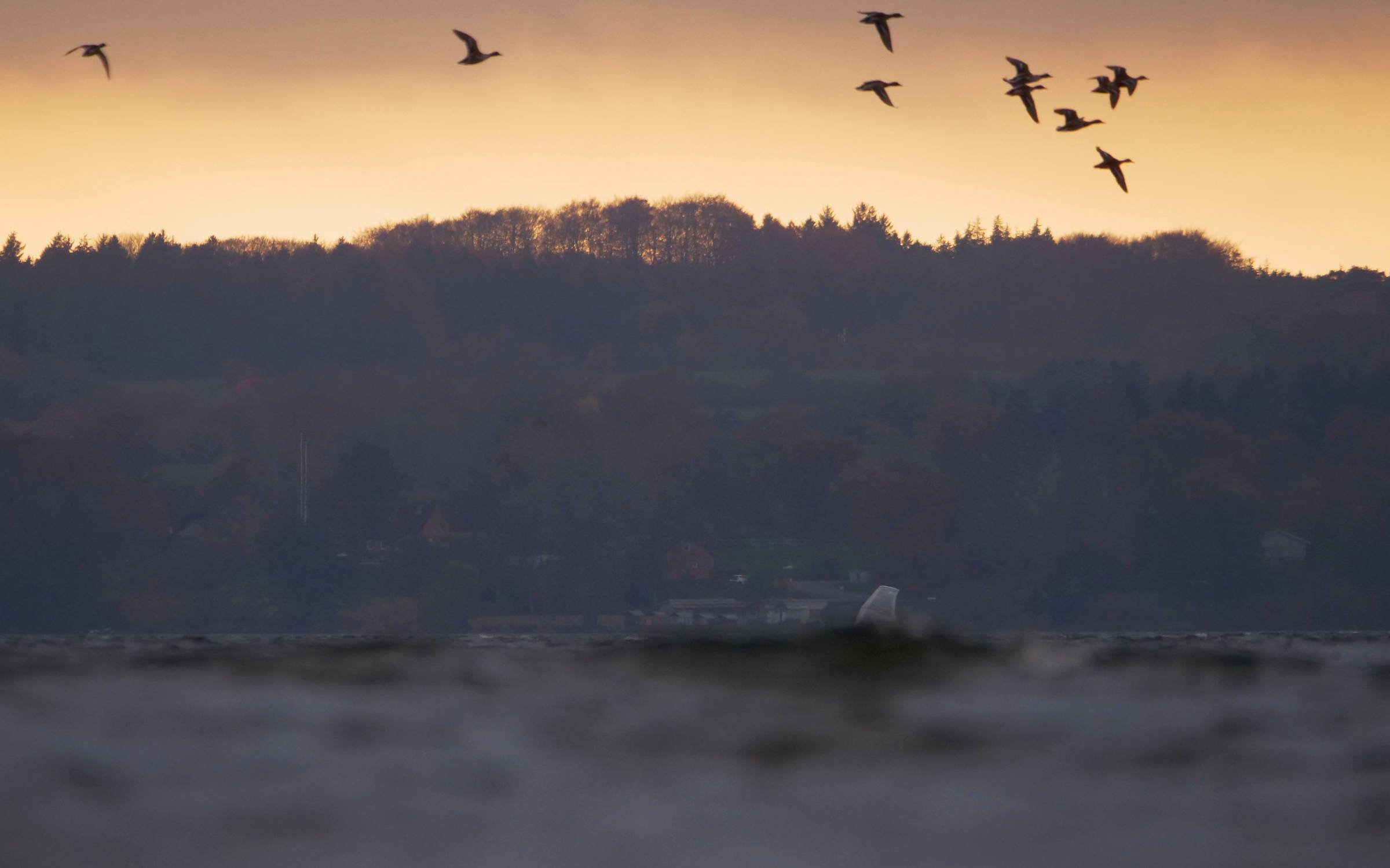 11.11.2025 - Wittensee