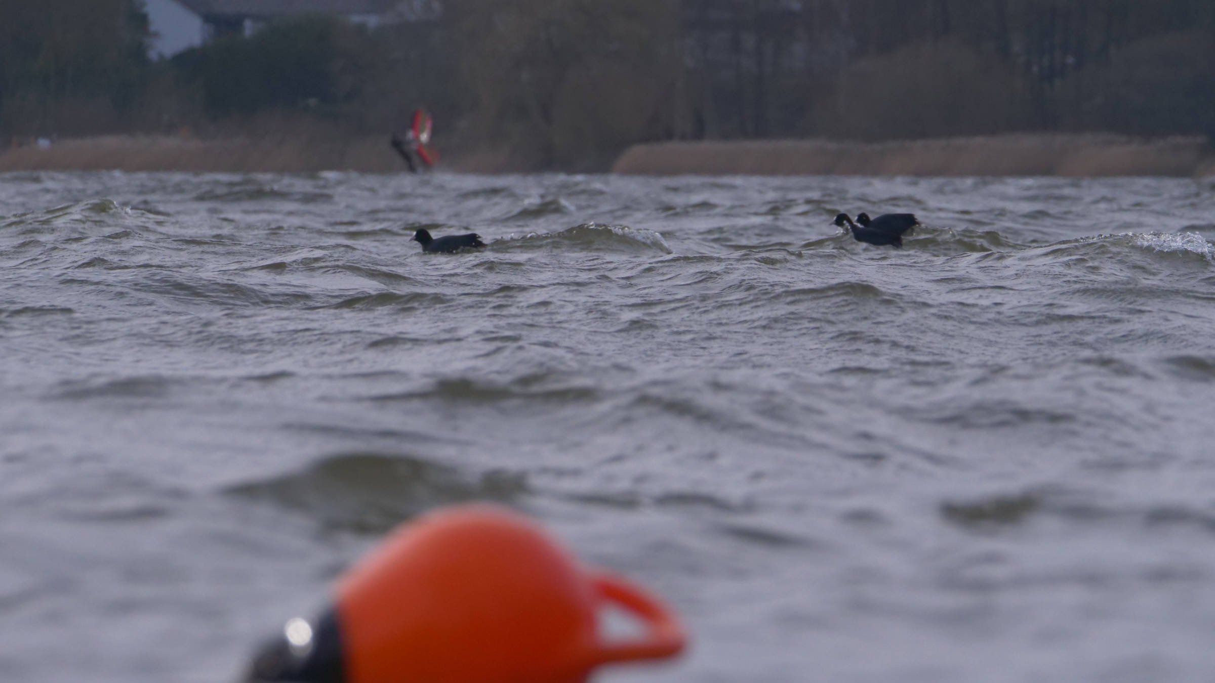 12.03.2026 - Wittensee