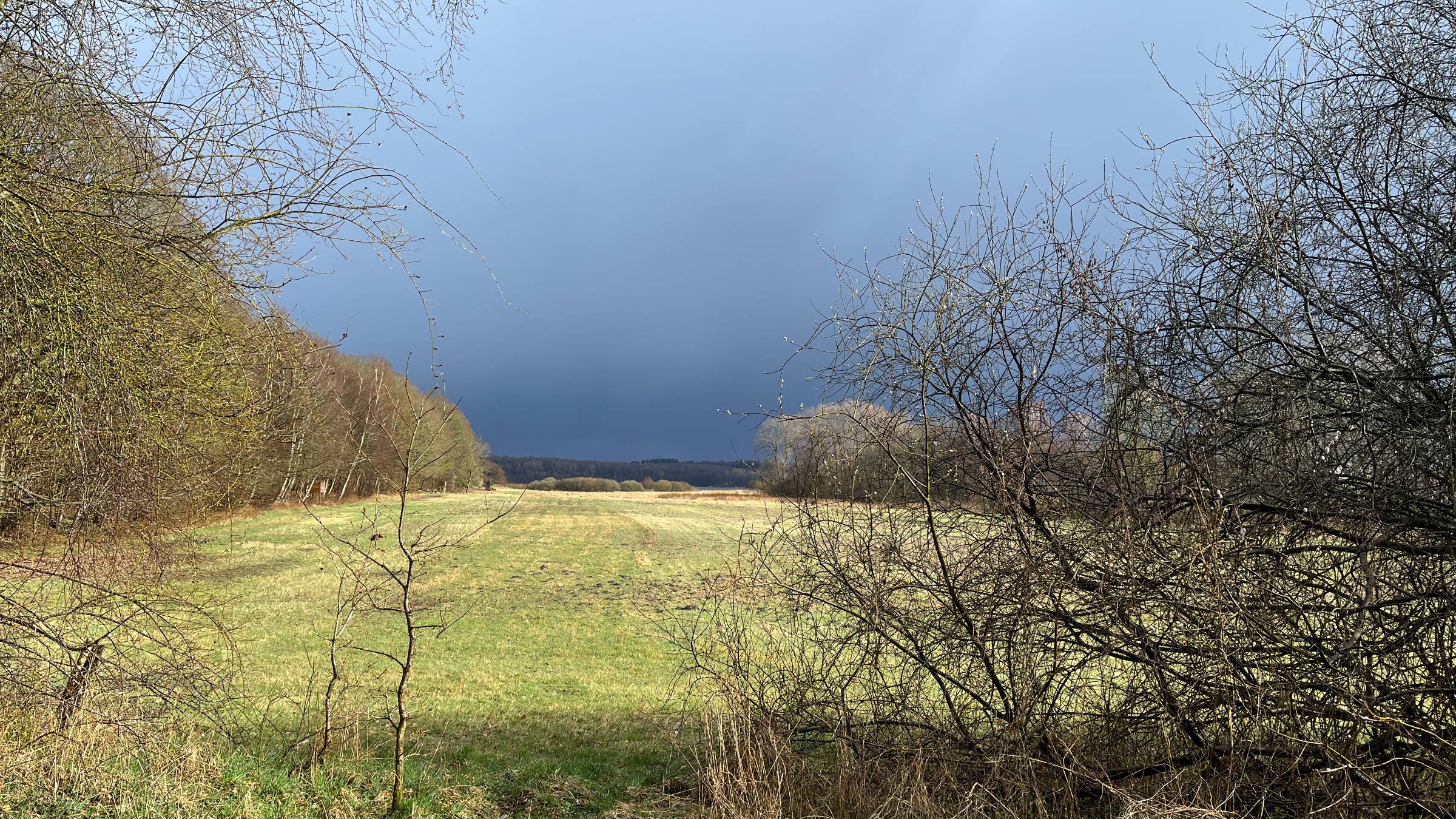 30.03.2026 - Westensee