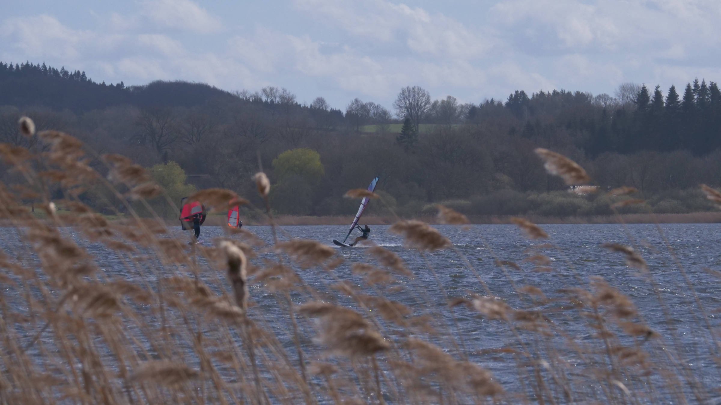 04.04.2026 - Westensee