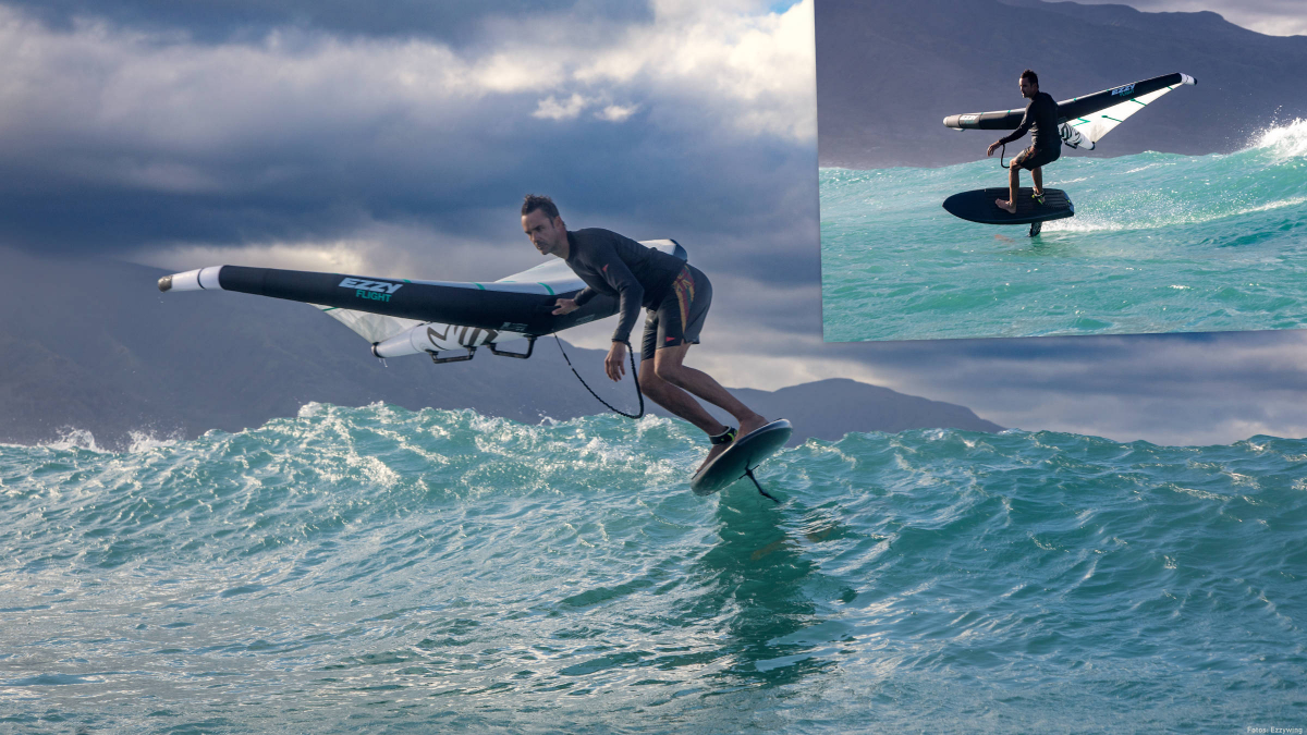 Ezzy Wing Flight v.2