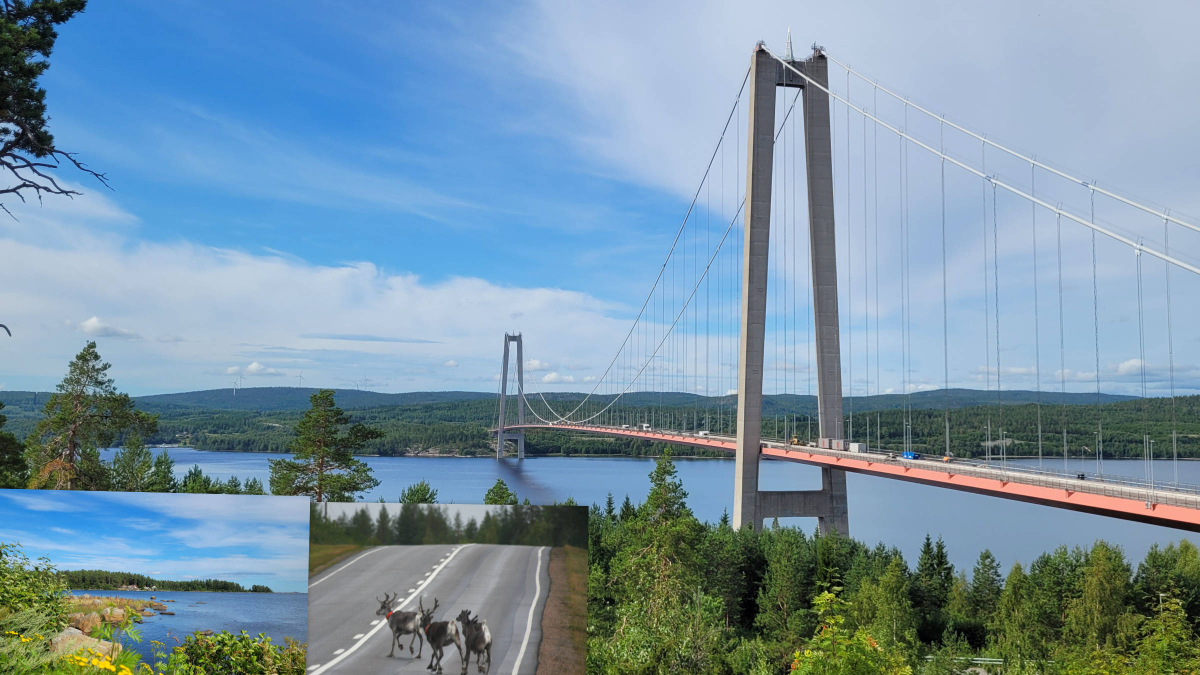 Högakustenbron und die ersten Rentiere